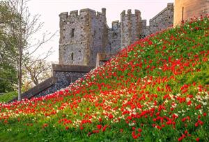 Arundel Castle